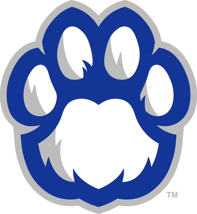 Eastern Illinois Panthers 2015-Pres Alternate Logo 10 vinyl decal